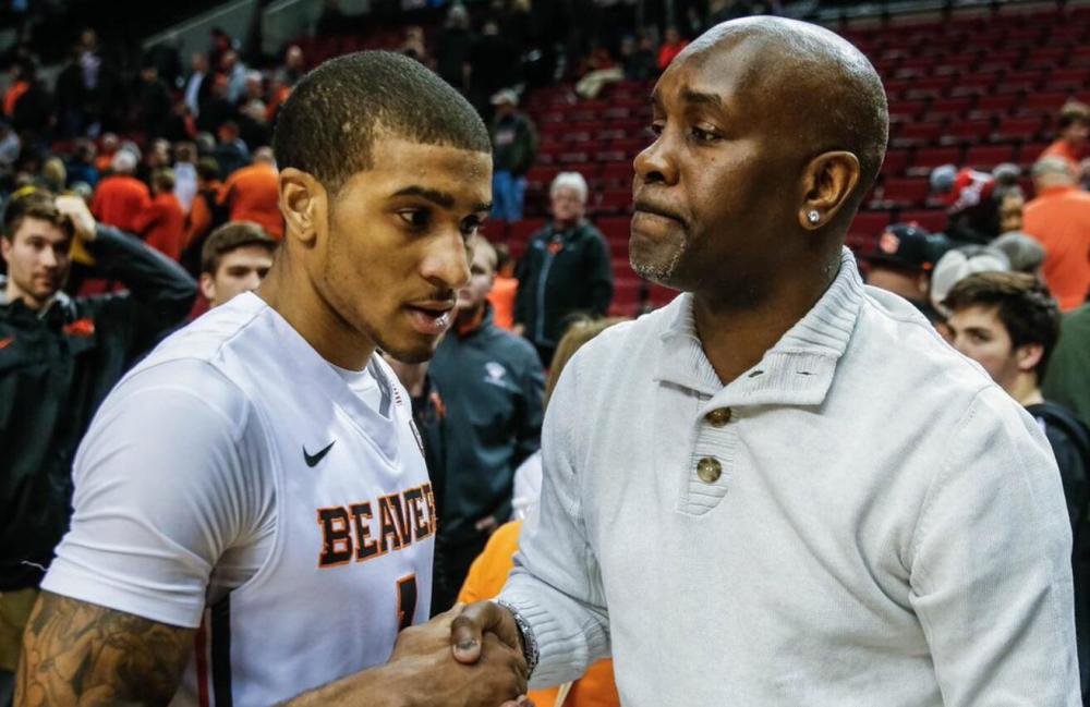 来梅的全面 来梅的全面