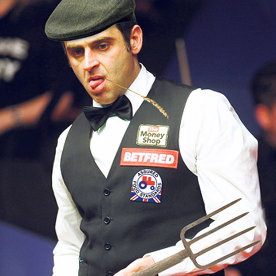 在本次体博 在本次体博